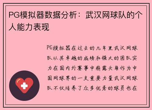 PG模拟器数据分析：武汉网球队的个人能力表现